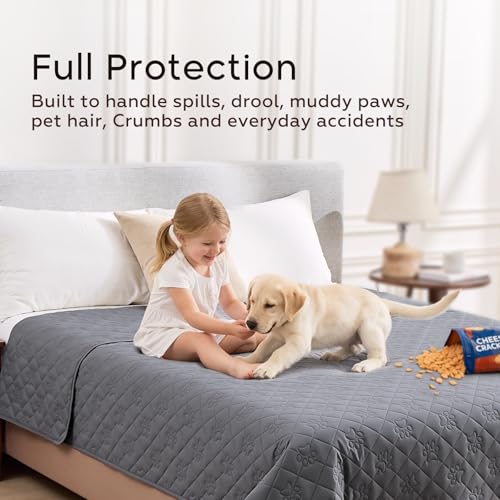 PAWFINITY surface anti-poils et résistante, nettoyez facilement après les jeux.