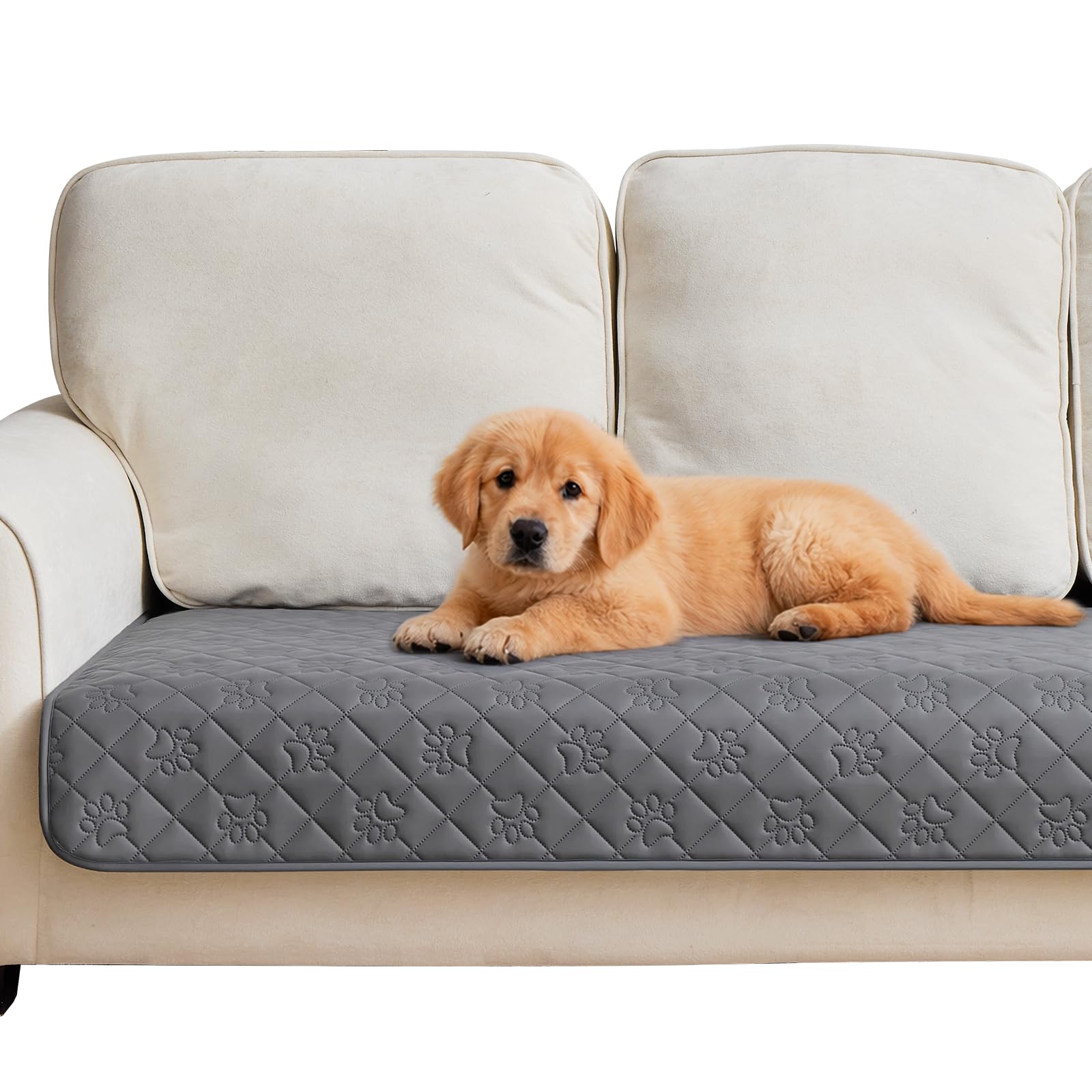 PAWFINITY imperméable couverture canapé – protège poils et taches, idéale pour chiens actifs.