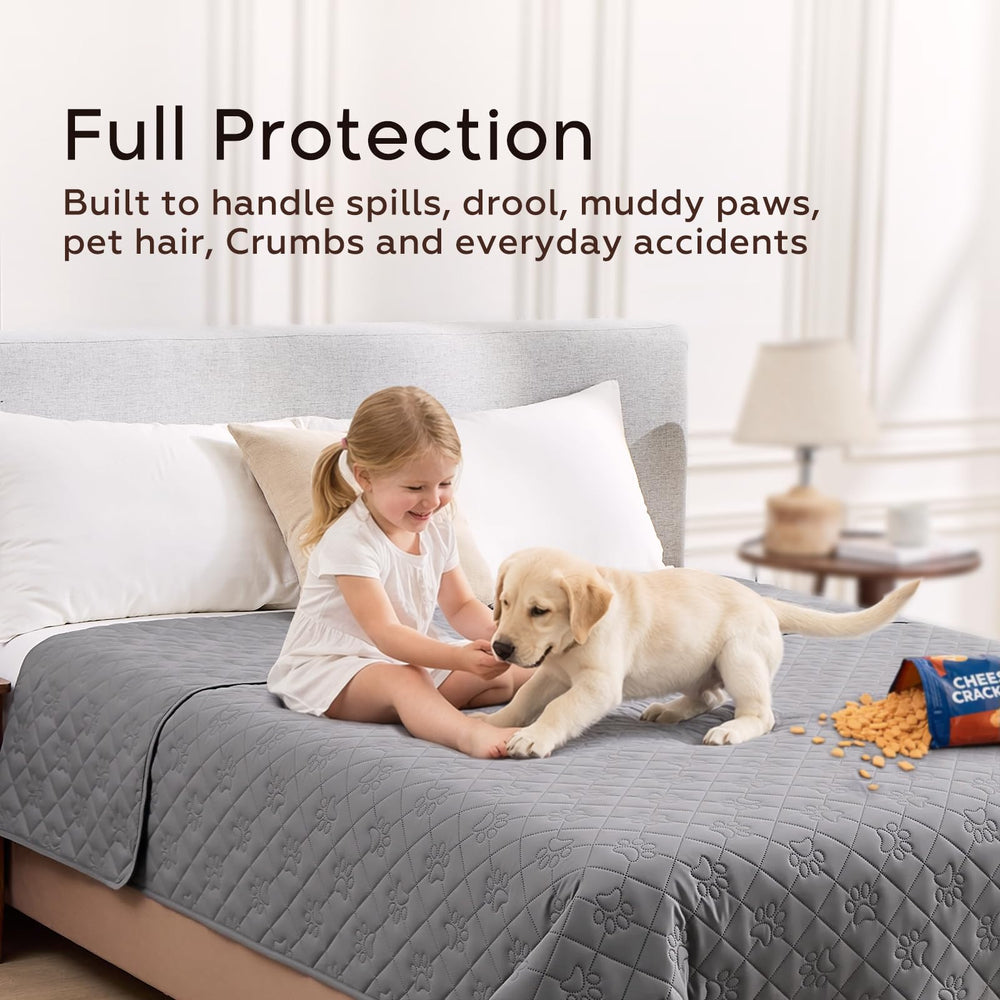 PAWFINITY protection meubles, tailles multiples adaptées à divers meubles.