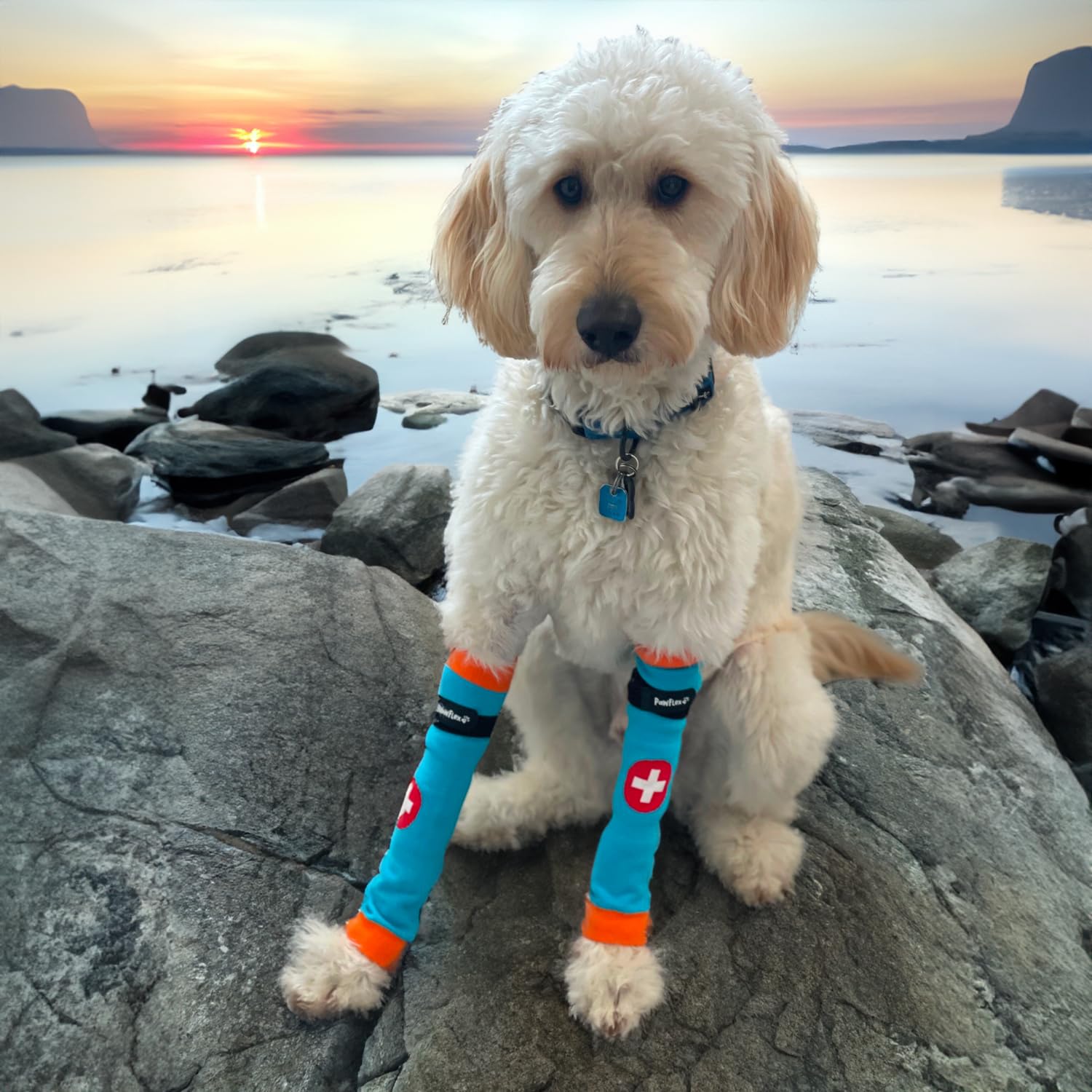 PawFlex Comfy Pawz: adhérence silicone interne non glissante assure un ajustement sûr