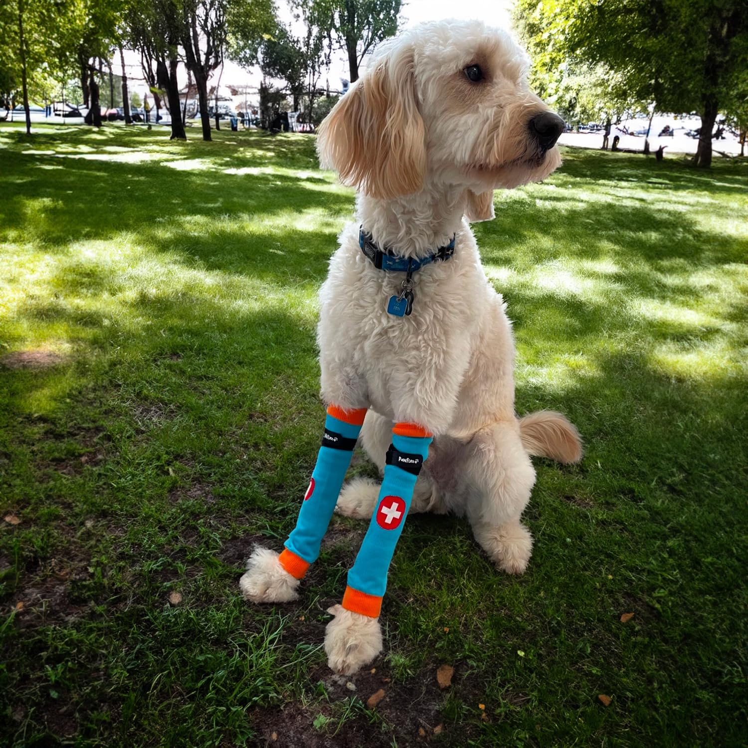 PawFlex Comfy Pawz usage extérieur et promenades sécurisés