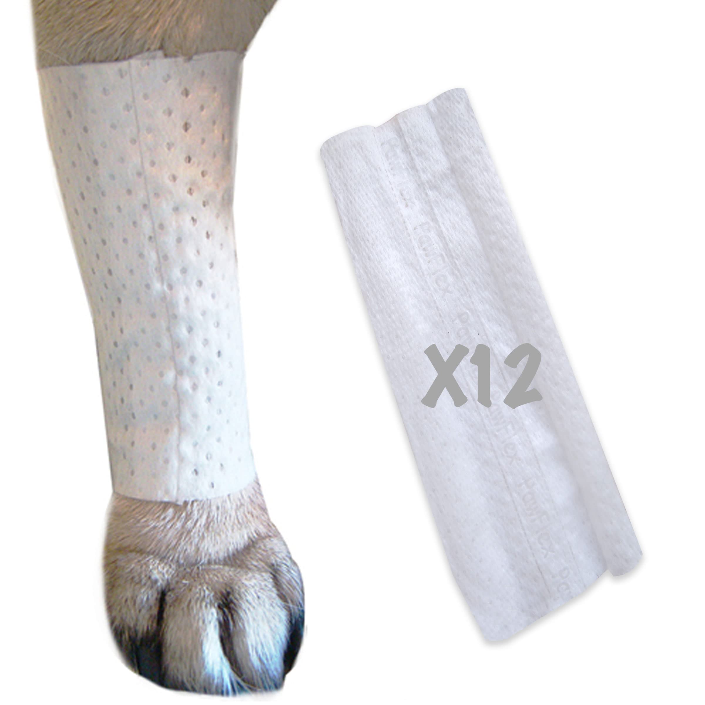 PawFlex manchon protecteur tubulaire protège les plaies et zones sensibles.
