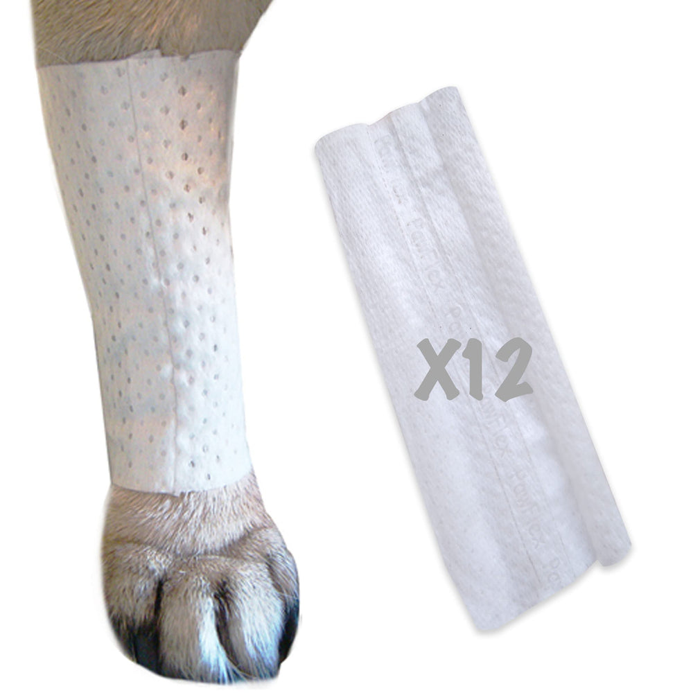 PawFlex manchon protecteur tubulaire protège les plaies et zones sensibles.