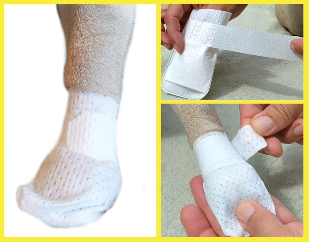 PawFlex Medimitt bandage patte ajustable pour un ajustement personnalisé et sécurisé.