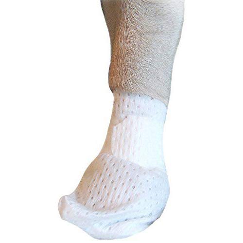 PawFlex Medimitt bandage patte chien: protection douce et ajustement sûr.