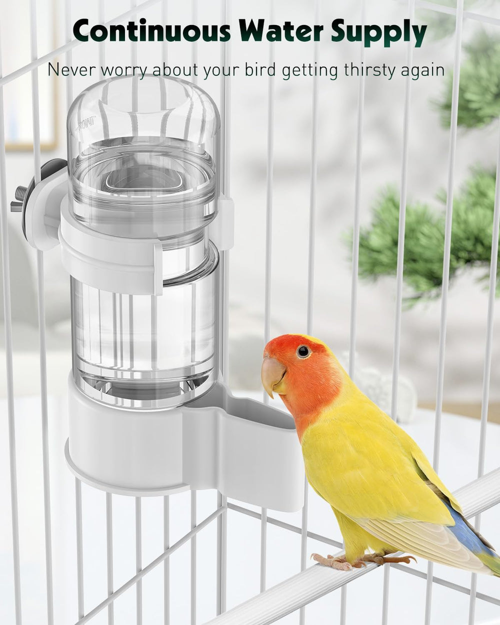 Pawfly abreuvoir – compatibilité avec divers petits oiseaux.