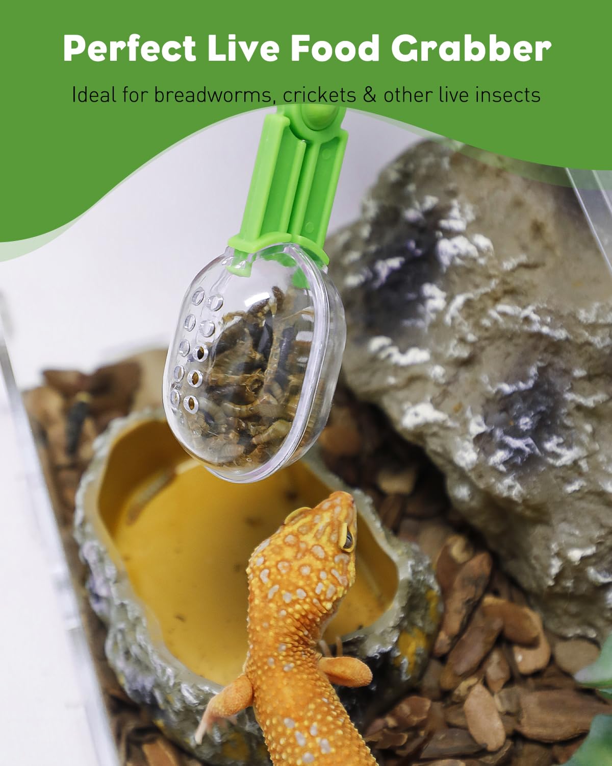 Pawfly alimentation-exterieure-insectes-vifs, aide pratique lors des repas en extérieur.