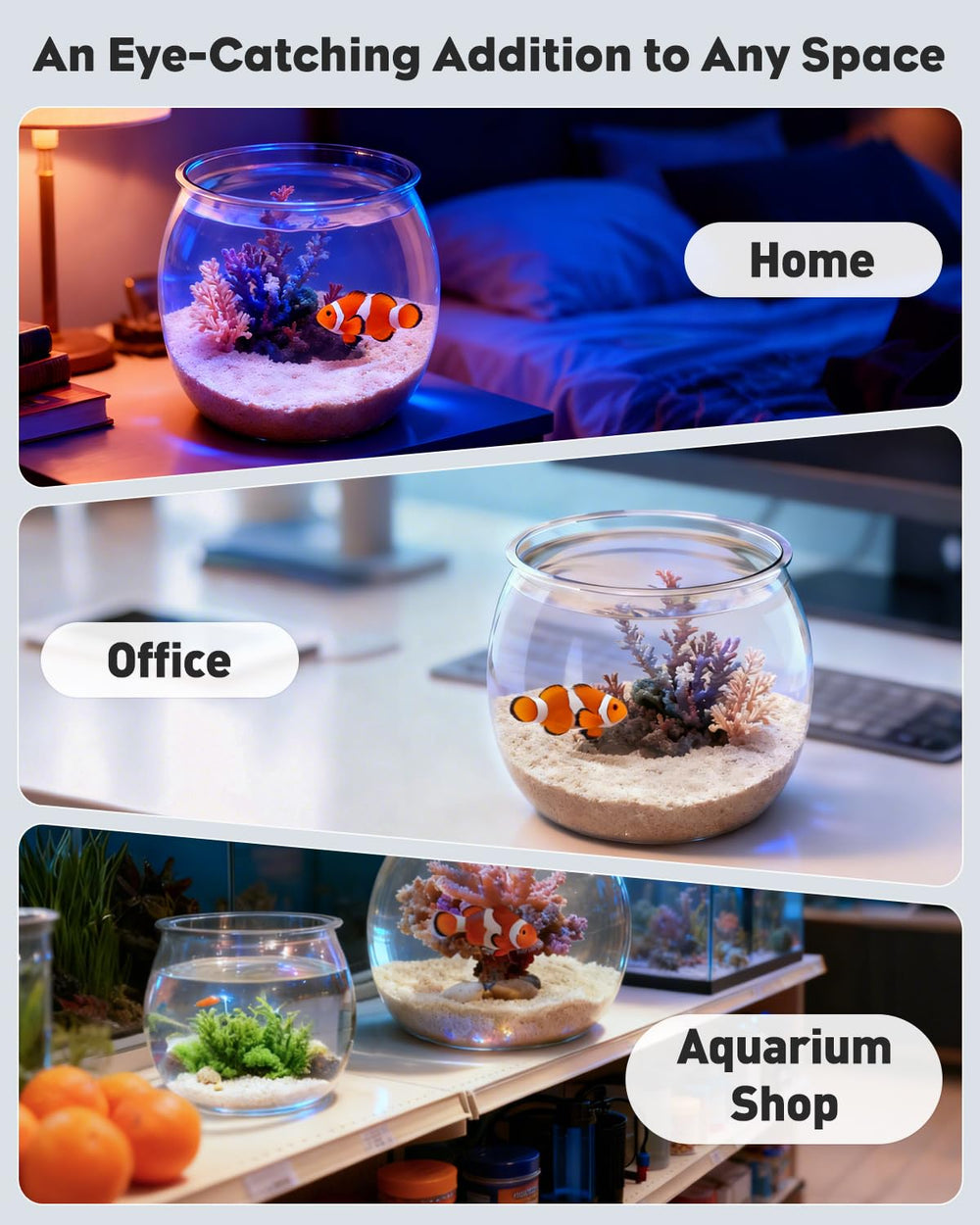 Pawfly bocal poisson plastique 0,5 gal, sécurité sans BPA et durabilité.