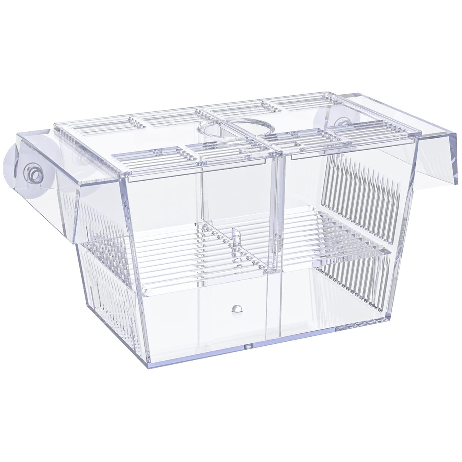 Pawfly boîte-élevage en acrylique pour aquarium, vue claire sur les alevins
