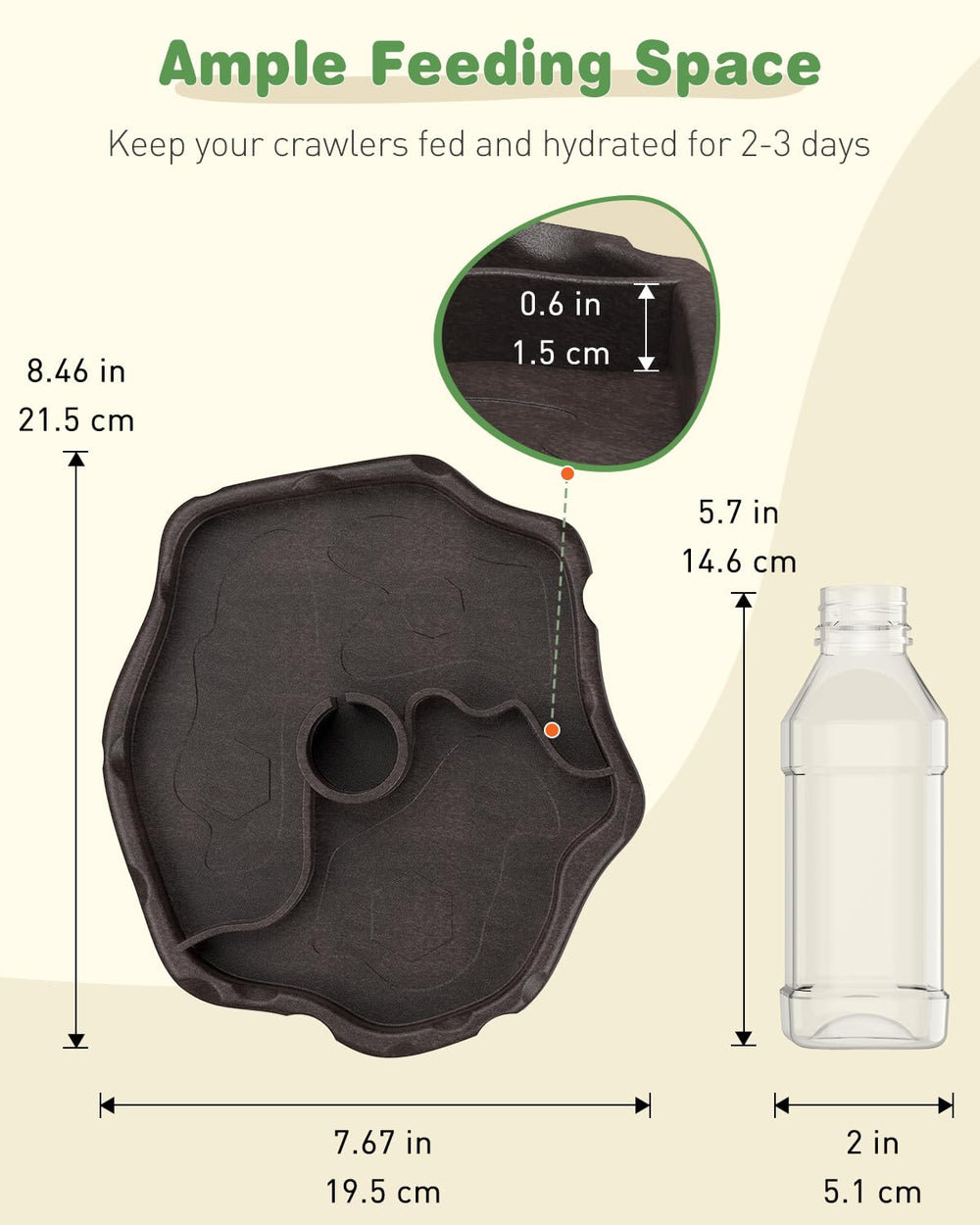 Bol eau et nourriture Tortue Pawfly, solution pratique dans le terrarium.