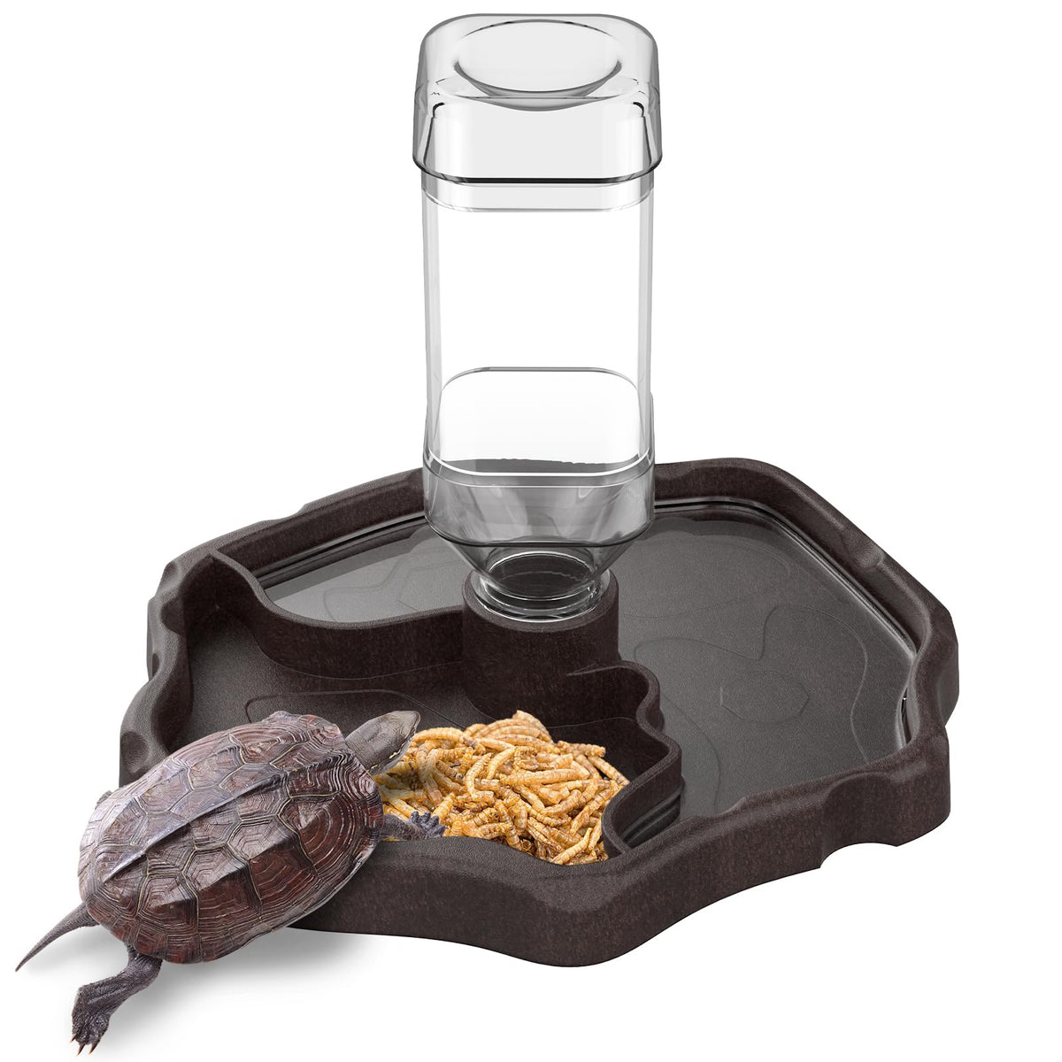 Pawfly distributeur eau reptile, pratique et propre toute la journée.
