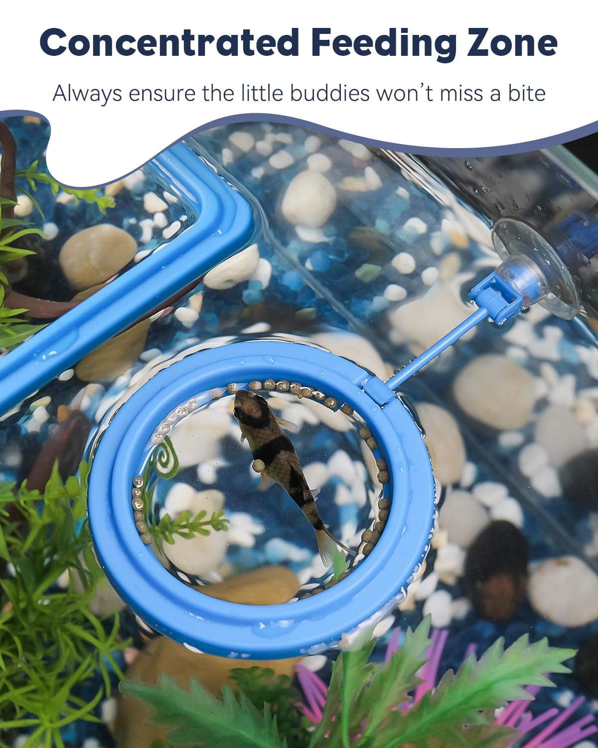 Pawfly système flottant qui s’ajuste au niveau d’eau