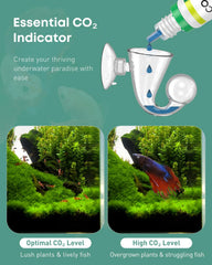 Pawfly tube verre courbe CO2: le tube courbé facilite une lecture précise.