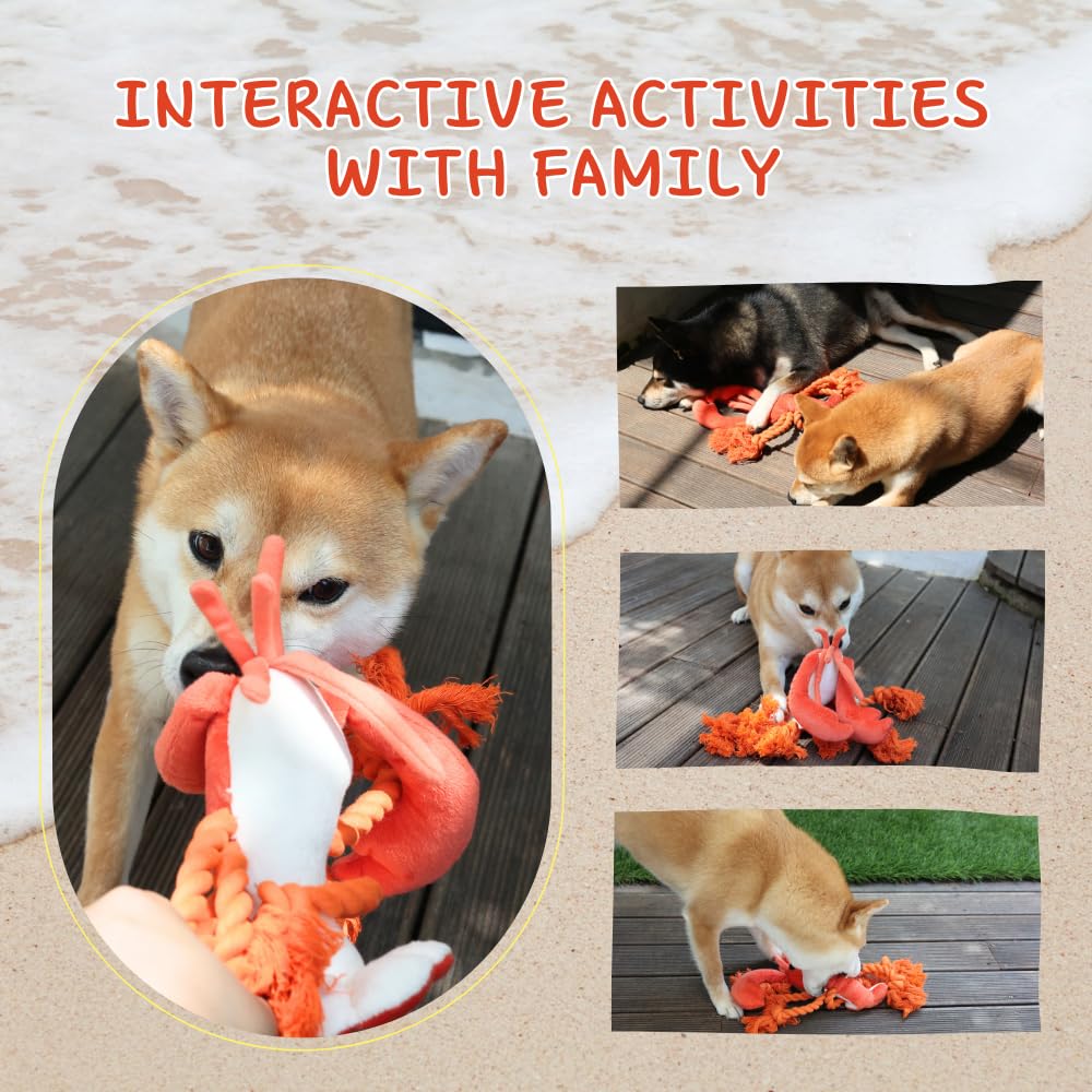 Pawfoo Lab homard peluche cadeau idéal pour chien.