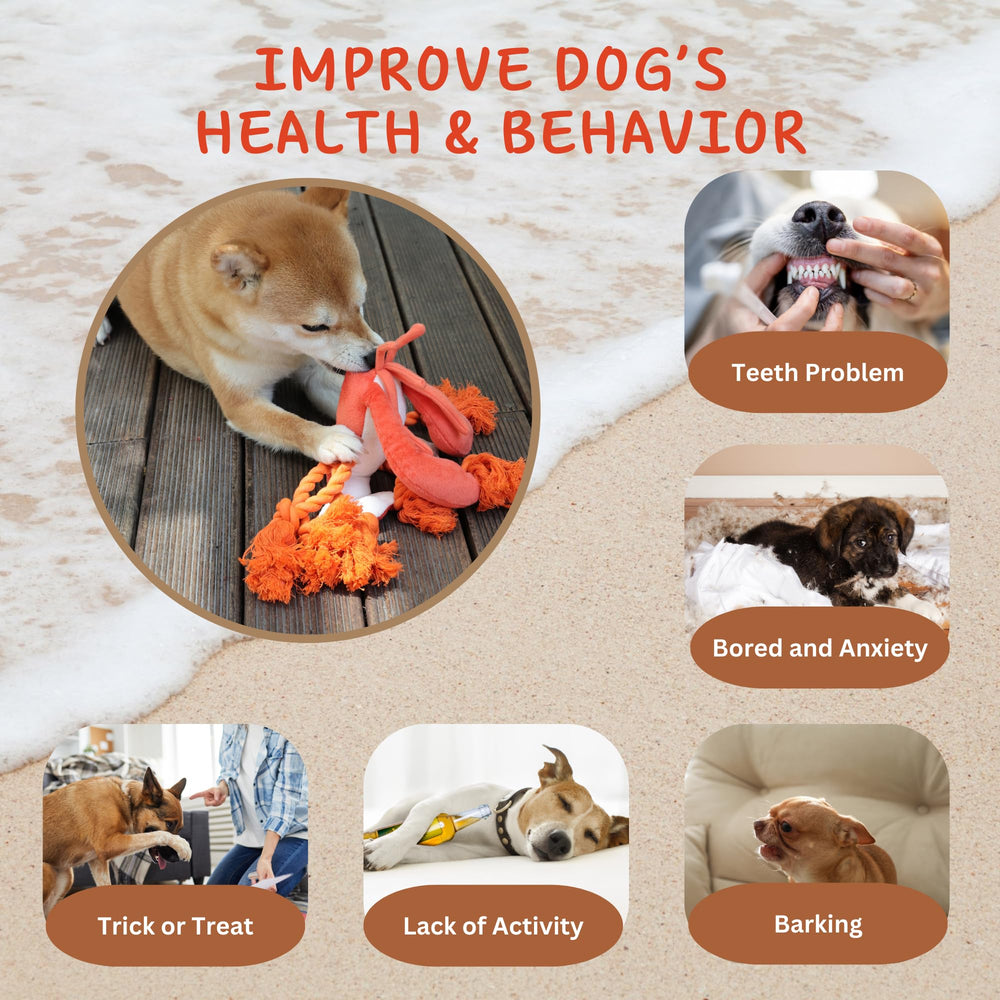 Pawfoo Lab homard peluche soin dentaire : texture corde favorise le nettoyage des dents.