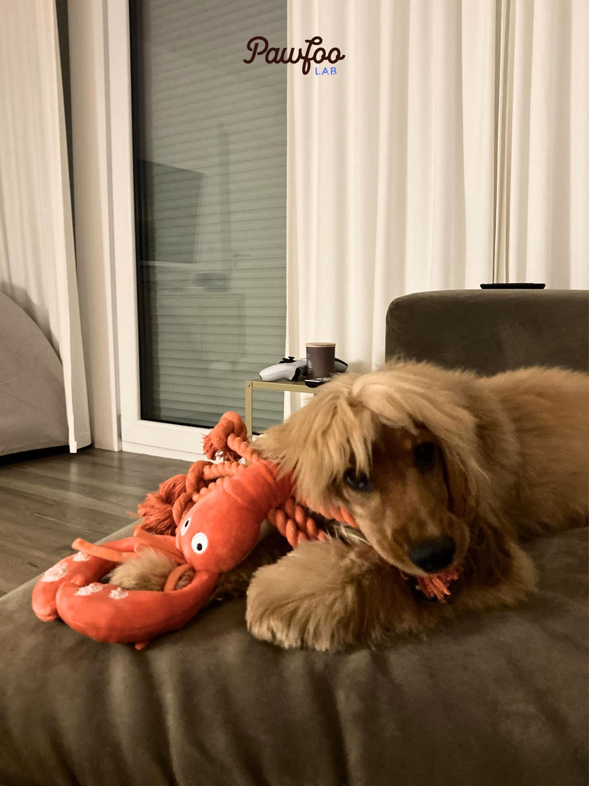 Pawfoo Lab homard peluche adaptée à toutes tailles de chiens.