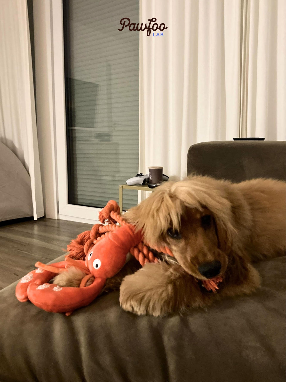 Pawfoo Lab homard peluche adaptée à toutes tailles de chiens.