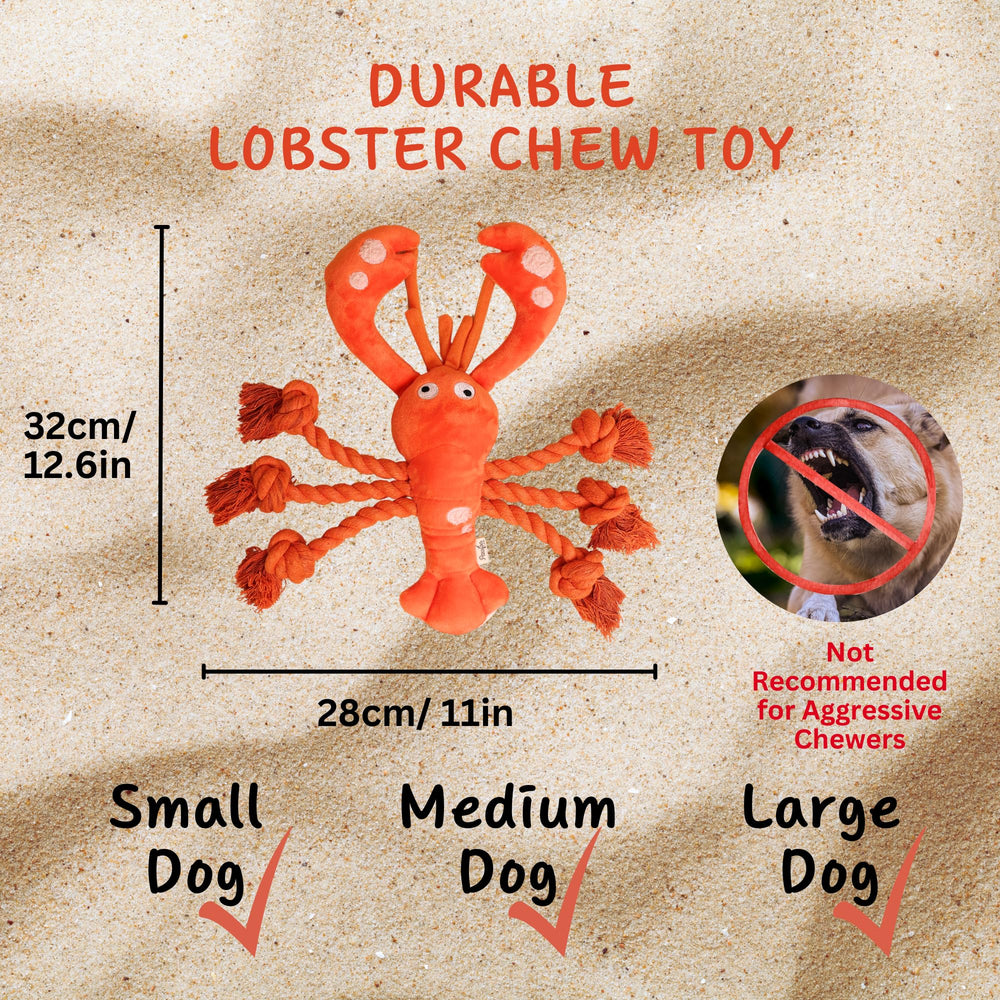 Pawfoo Lab homard peluche six cordes : idéal pour jeux de tir et engagement.