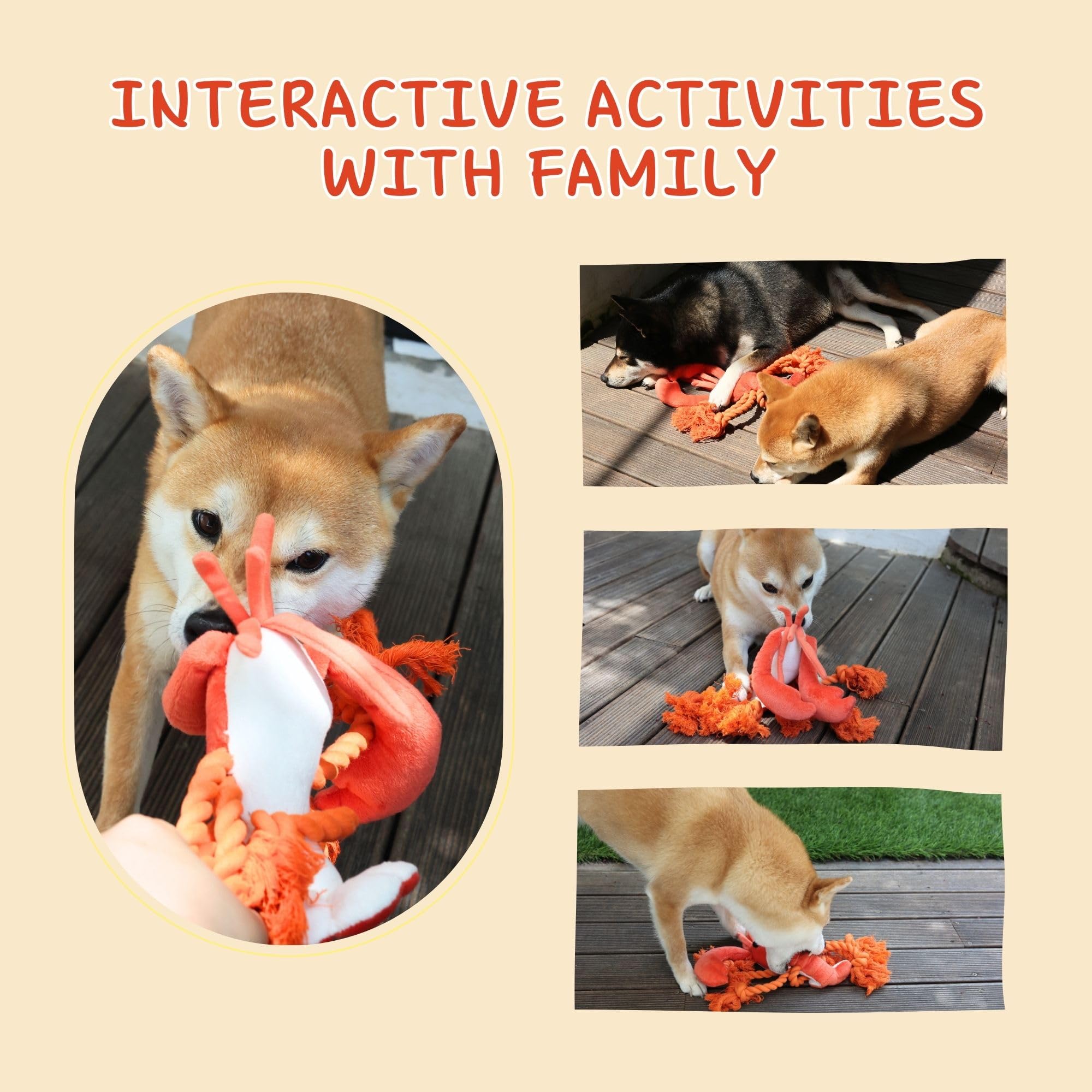 Jouet interactif Pawfoo Lab homard, design innovant pour jeux partagés.