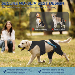 Pawfun attelle genou chien Arriere, attache double assure stabilité renforcée.