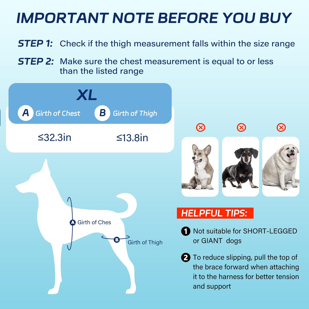 Pawfun Attelle Genou Chien – doublure rembourrée réduit les frottements.