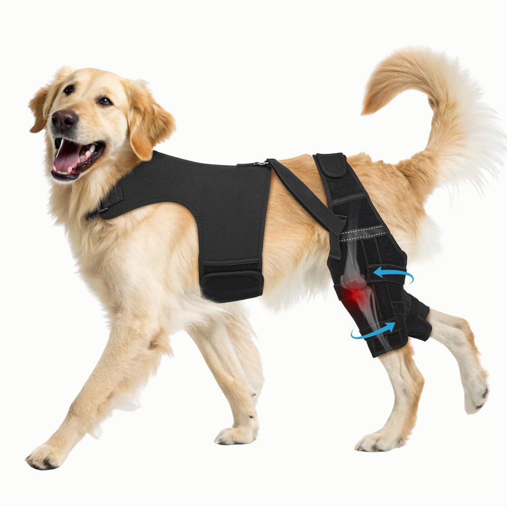 Pawfun Attelle Genou Chien – ensemble pour soutien ciblé et confort durable.