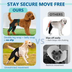 Pawfun bande ventrale antiglissement prévient le glissement en mouvement.