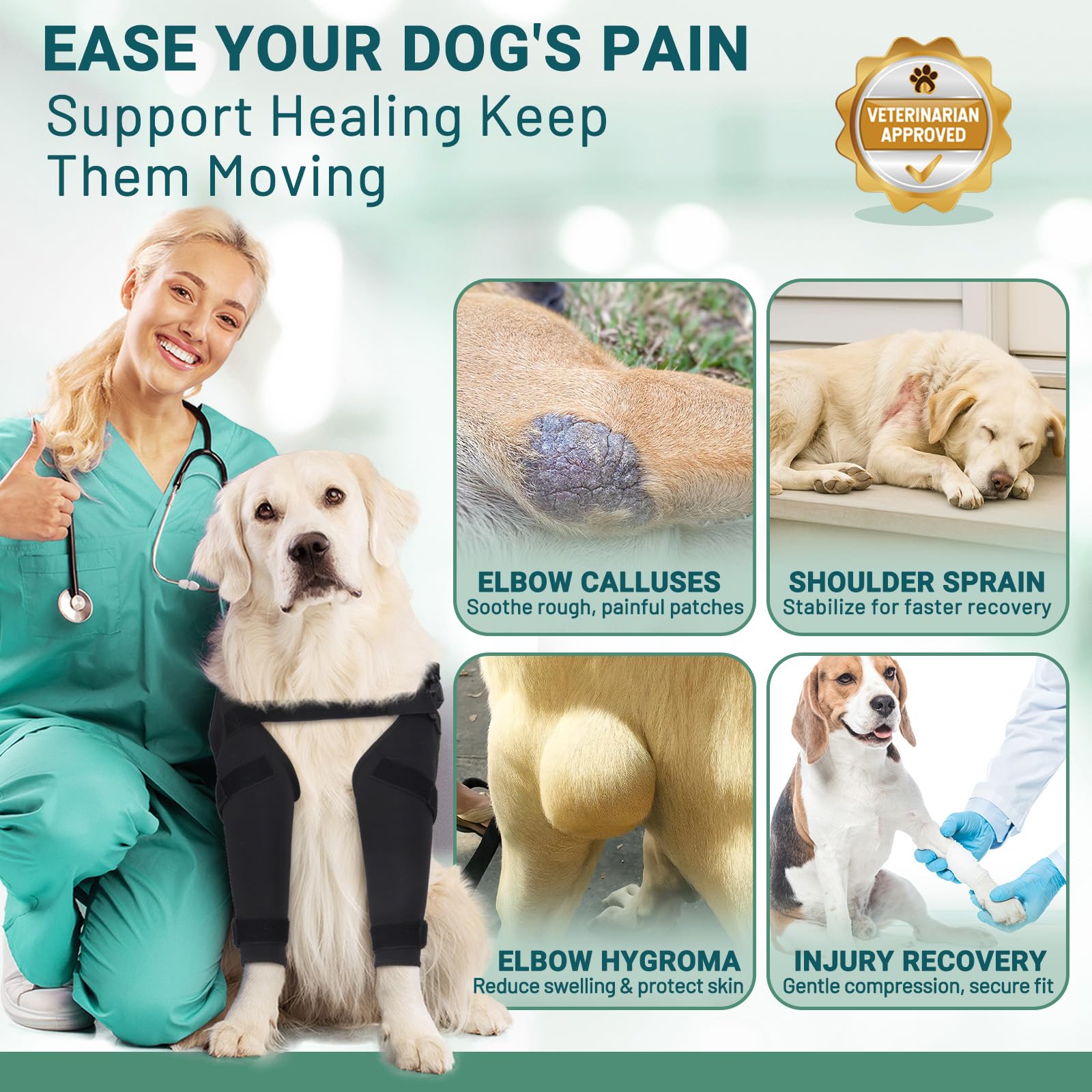 Pawfun compression-confort-chien-articulation offre un soutien doux pendant la marche.