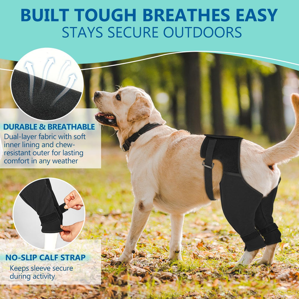 Pawfun confort remplace le cône pour une récupération active.