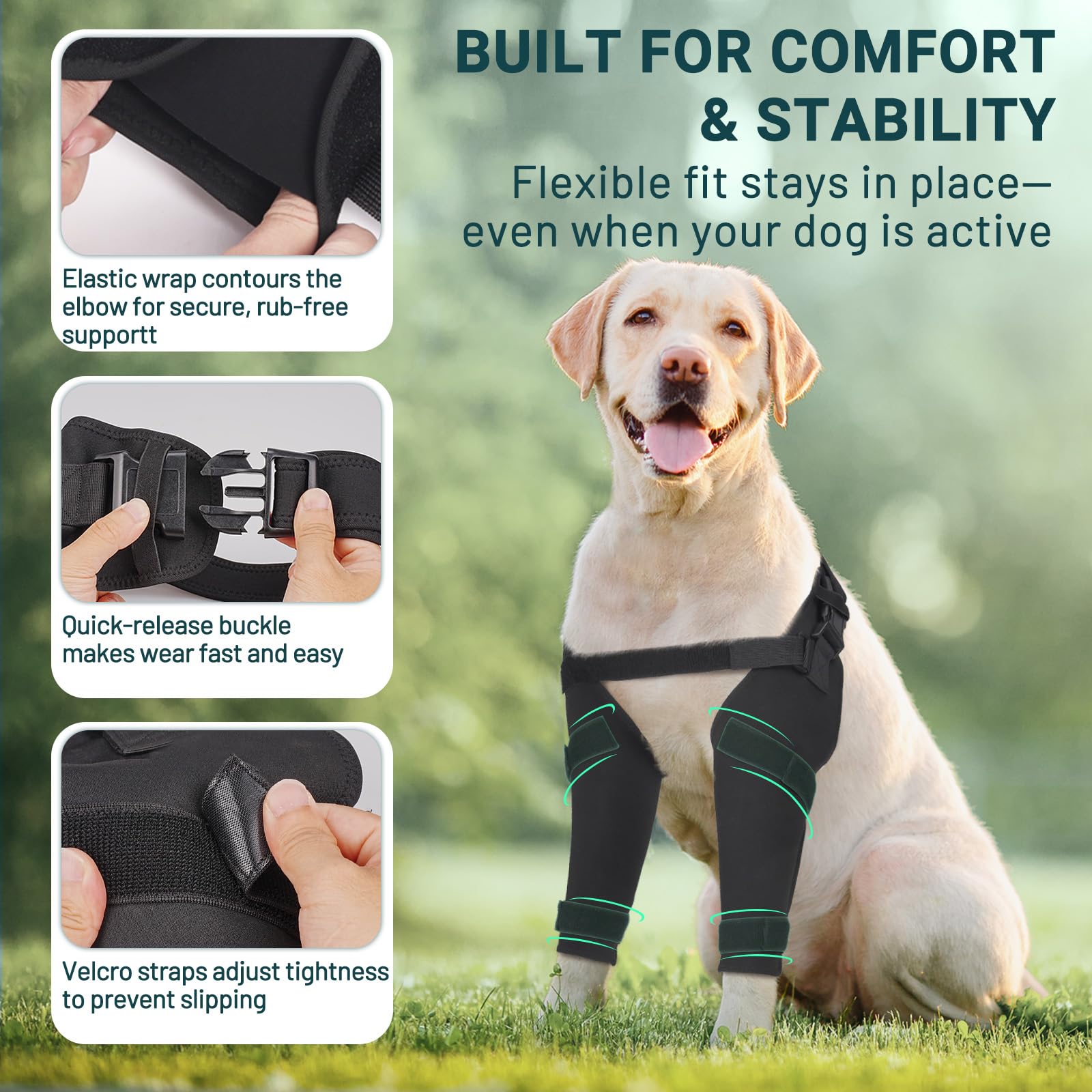 Pawfun durable-lavage-reutilisable offre une utilisation répétée et écologique.
