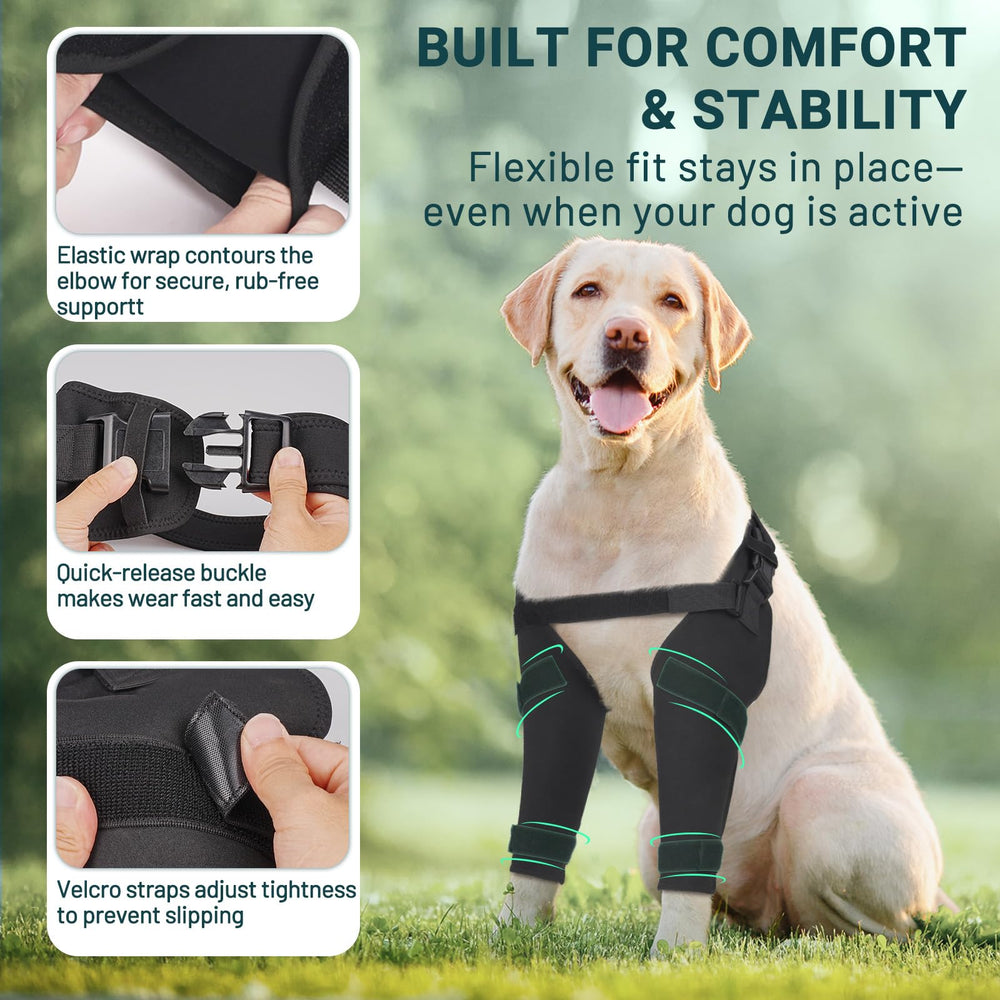 Pawfun durable-lavage-reutilisable offre une utilisation répétée et écologique.