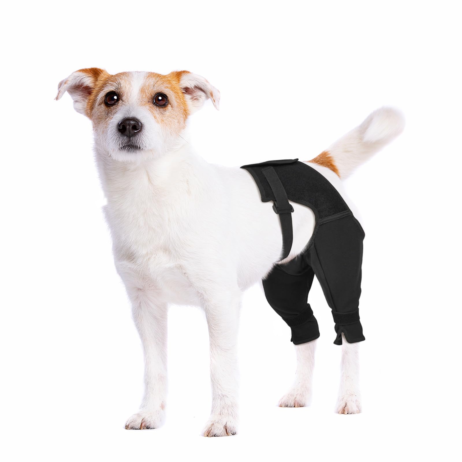 Pawfun manche patte arrière anti-lechage pour chien en action.