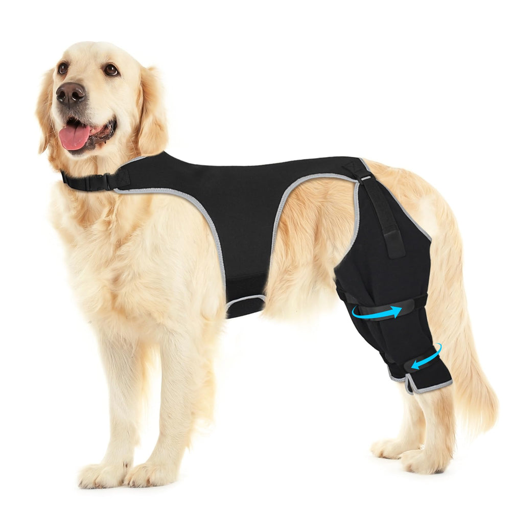 Pawfun manchon patte arriere anti-lickage, protection ciblée des plaies et irritations