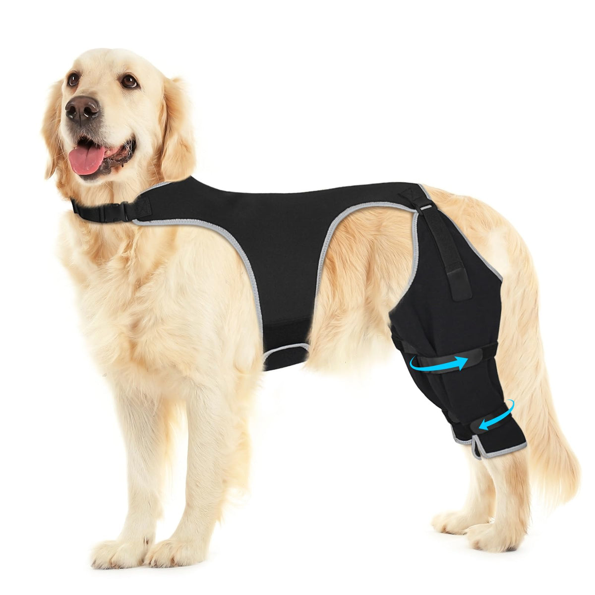 Pawfun manchon patte arriere anti-lickage, protection ciblée des plaies et irritations