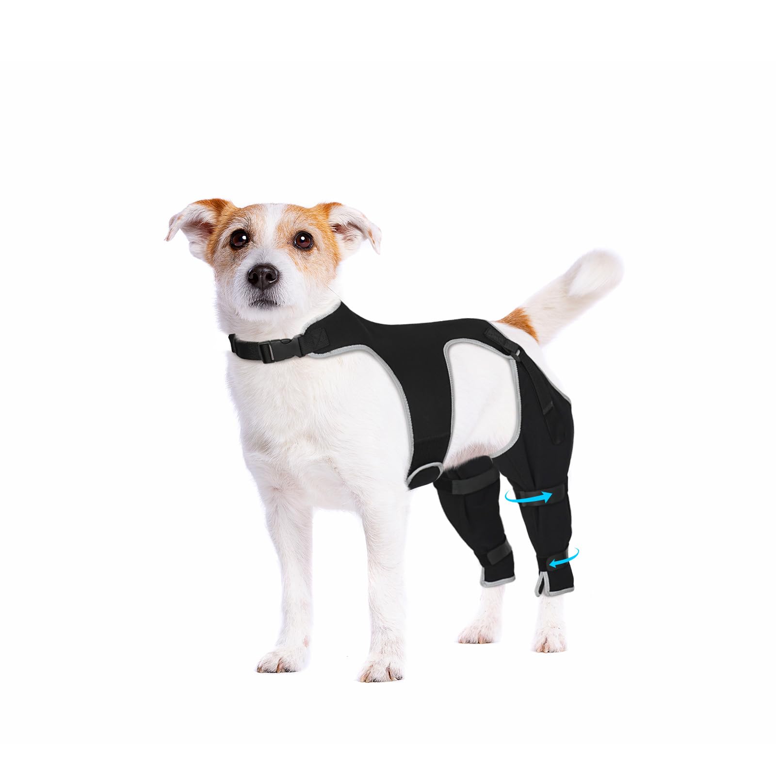 Pawfun manchon patte arrière, protection efficace contre les léchages et irritations.