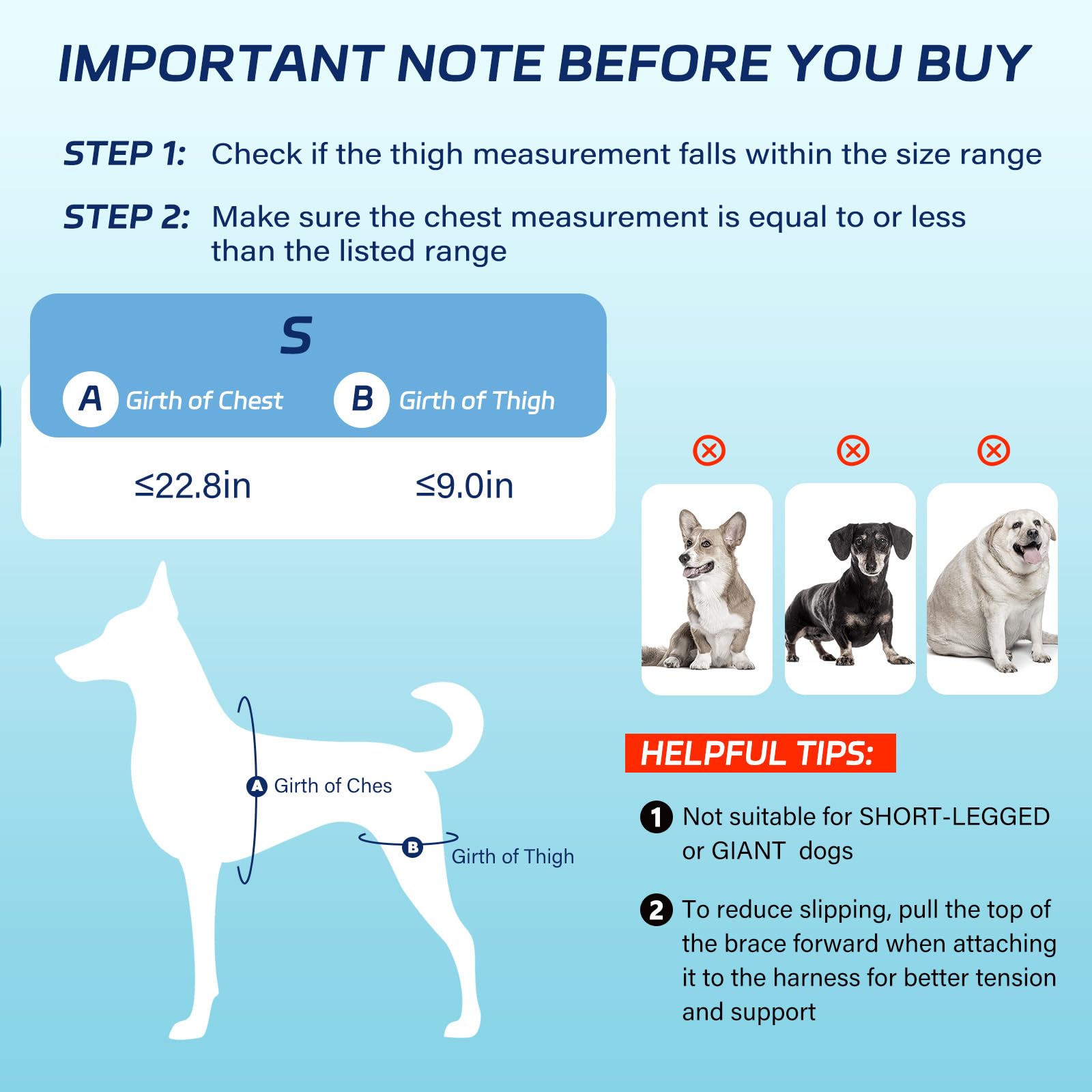 Pawfun orthèse chien mobilité quotidienne, facile à mettre et à porter.