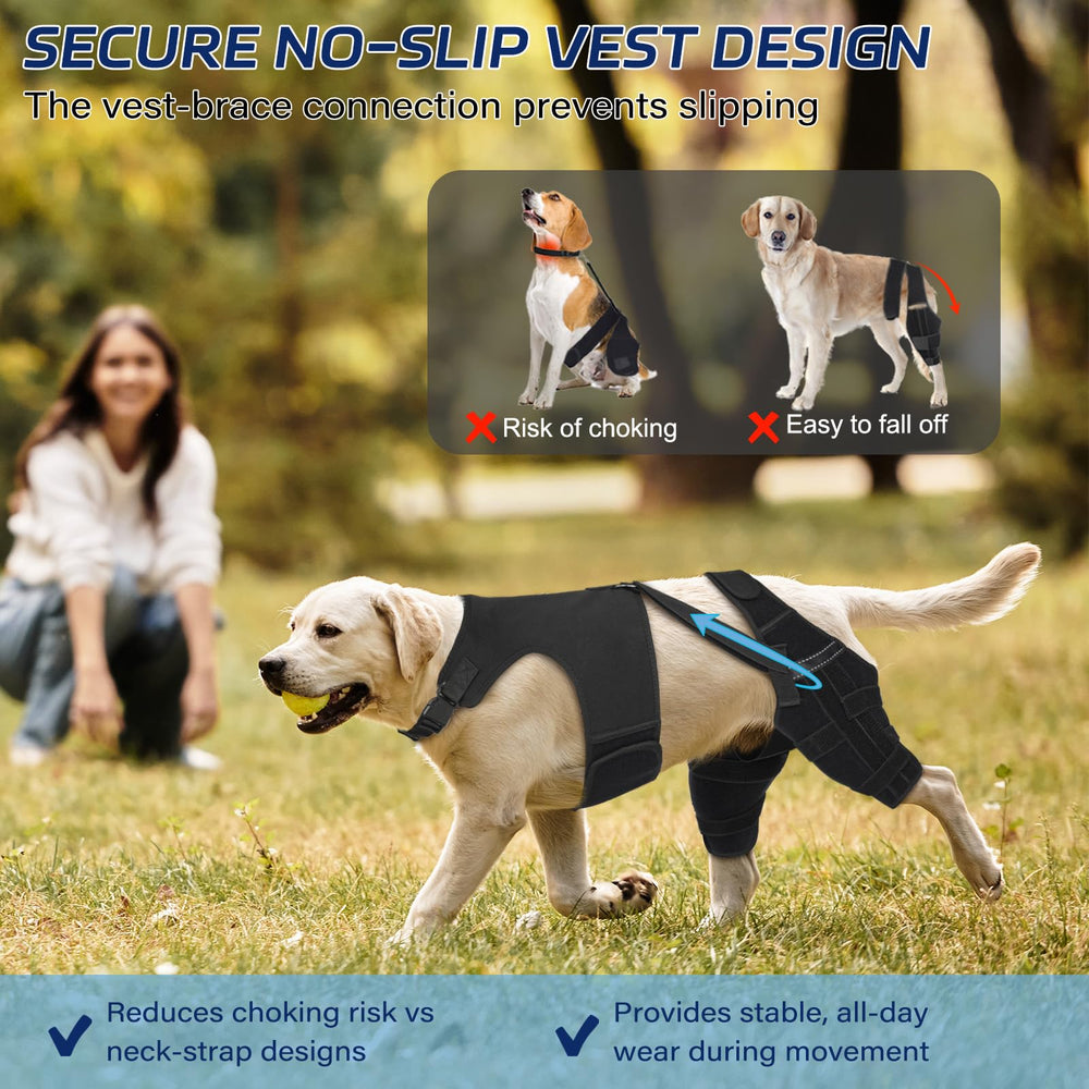 Pawfun orthèse dos chien, boucles ajustables pour un maintien fiable.