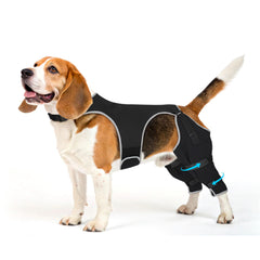 Pawfun: manchon patte arriere anti-lechage protégeant plaies et irritations.