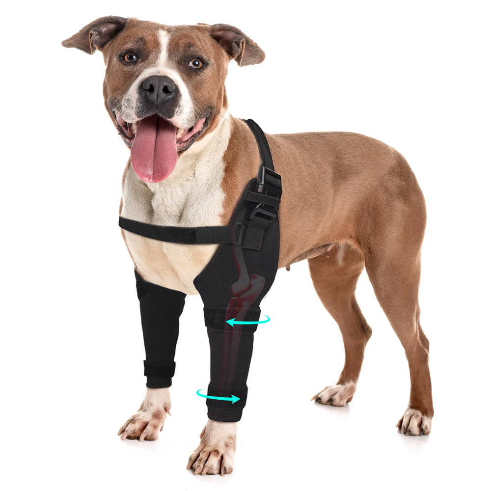 Pawfun protection-coude-chien avant respirant pour confort et mobilité quotidienne.