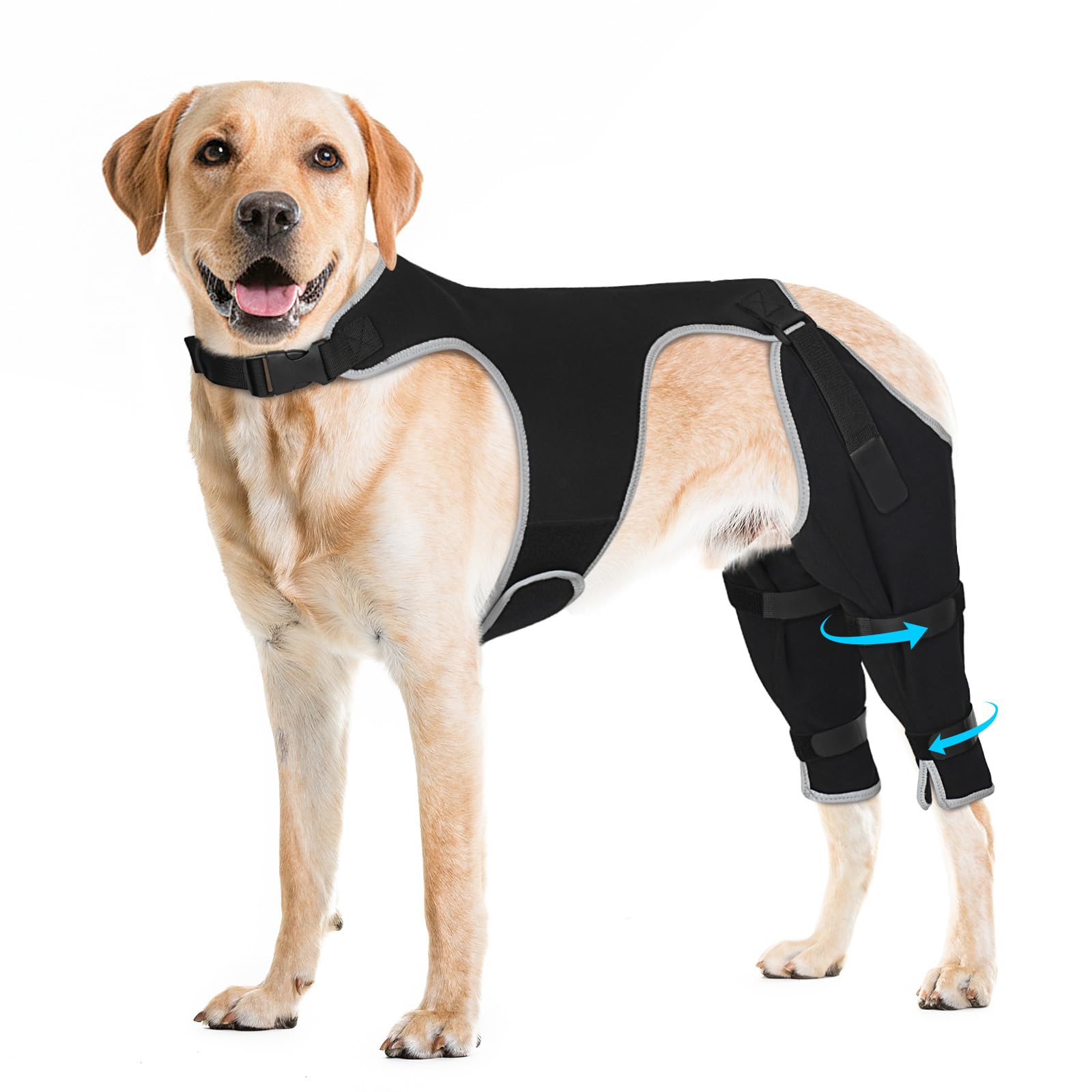 Pawfun protection-jambe-arriere protège la zone et réduit le léchage.