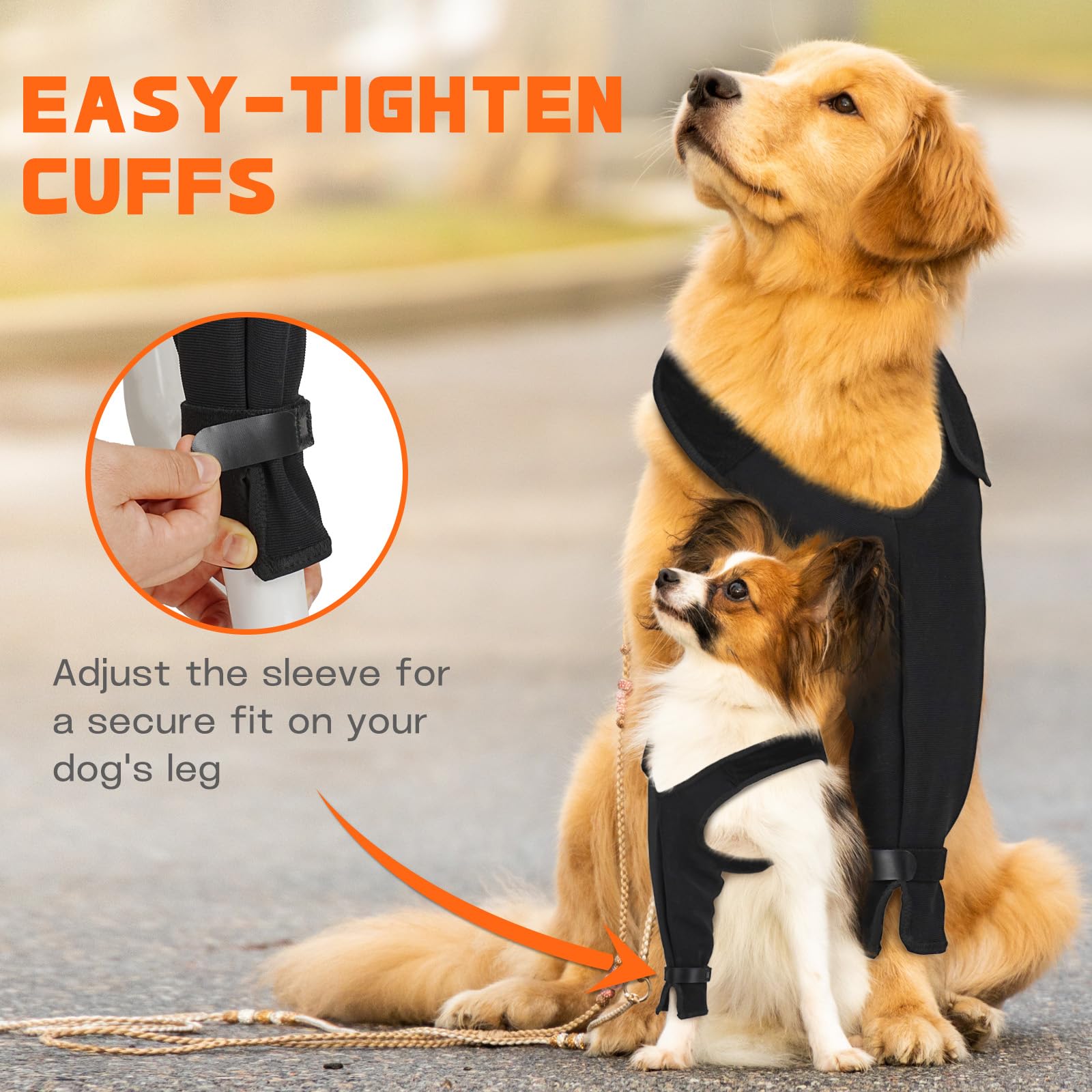 Pawfun lavable en machine, réutilisable et durable pour le long terme.