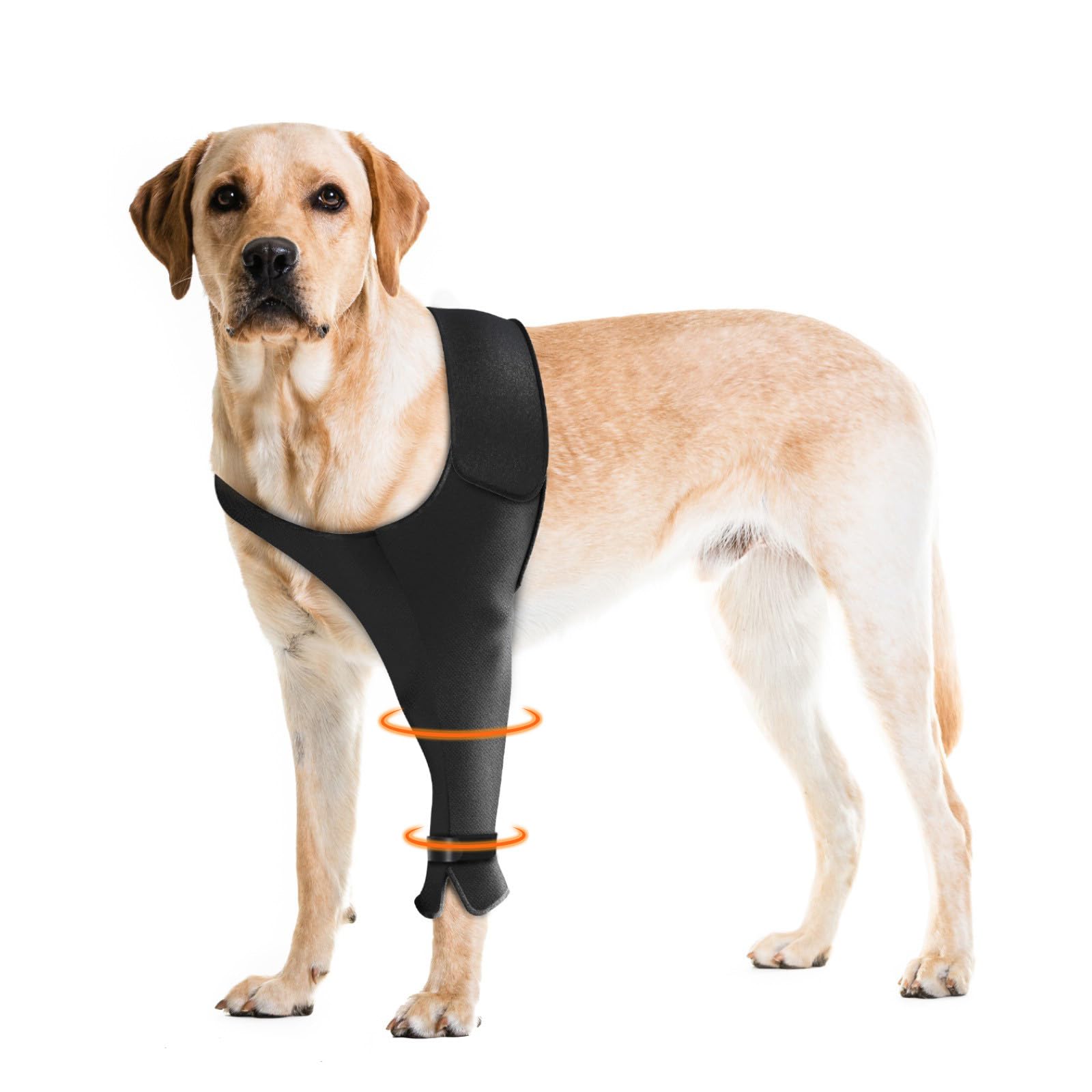 Pawfun patte avant gauche: manchon ciblé pour protection et récupération.
