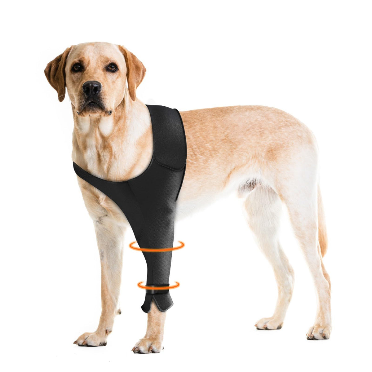 Pawfun patte avant gauche: manchon ciblé pour protection et récupération.