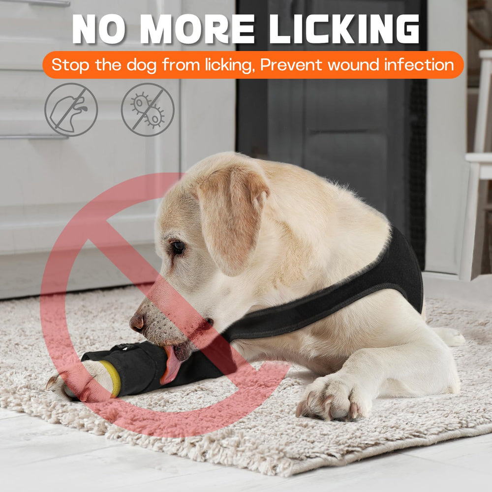 Pawfun utilisation en extérieur, protège contre léchage et irritations.