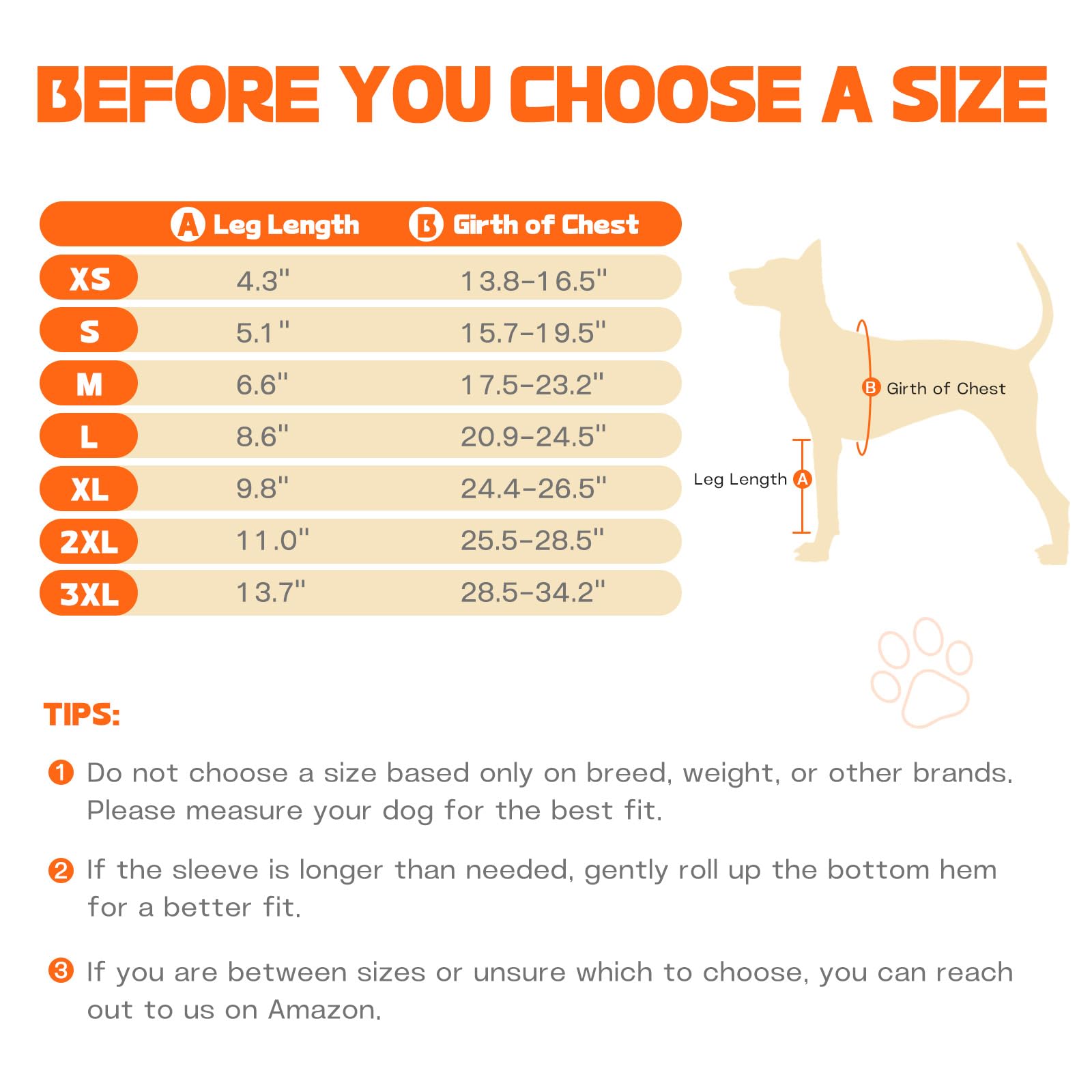 Pawfun usage quotidien soin patte avant pour routine de bien-être.