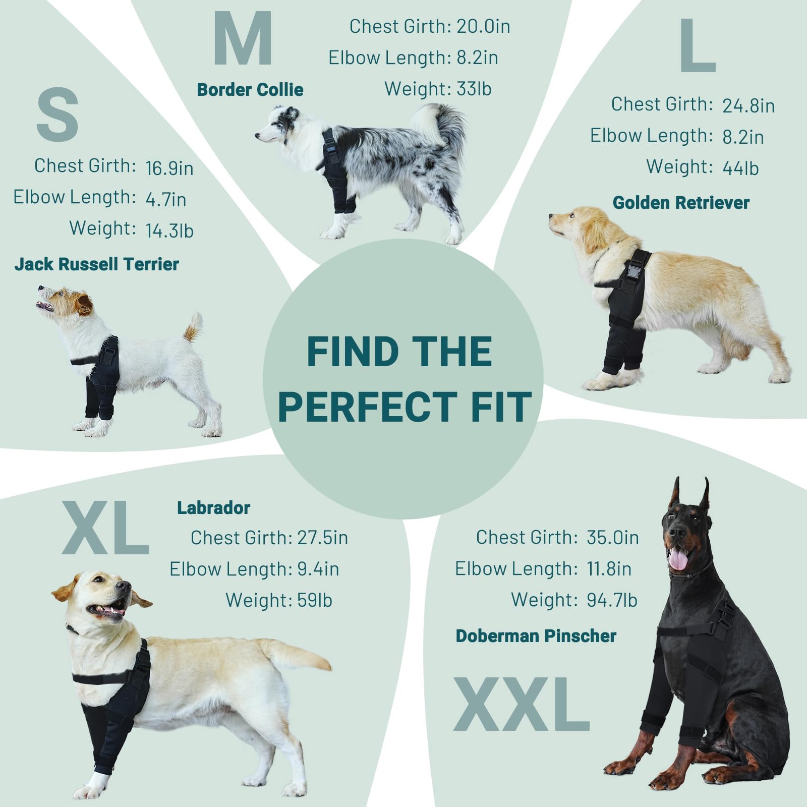 Pawfun utilisation-quotidienne-protection-coude-chien apporte sécurité lors des balades.
