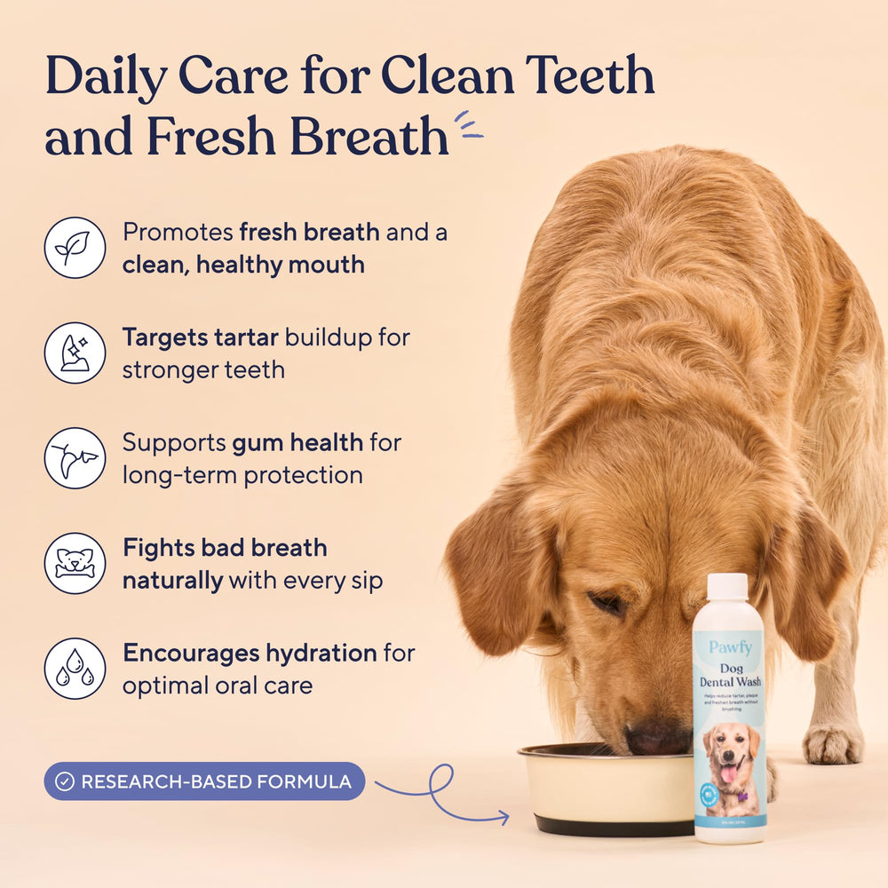Pawfy adaptée à toutes tailles de chiens, hygiène régulière.
