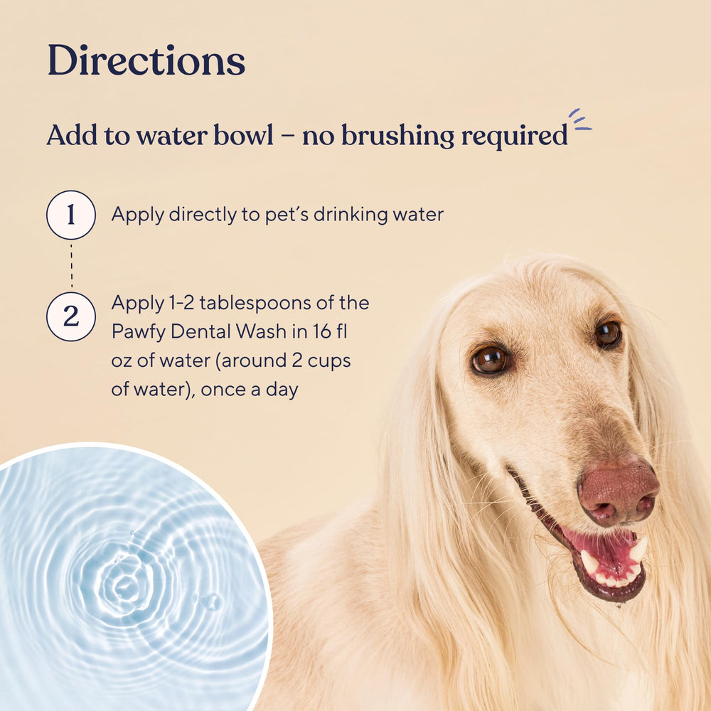 Pawfy bien-être orale du chien, usage quotidien pratique.