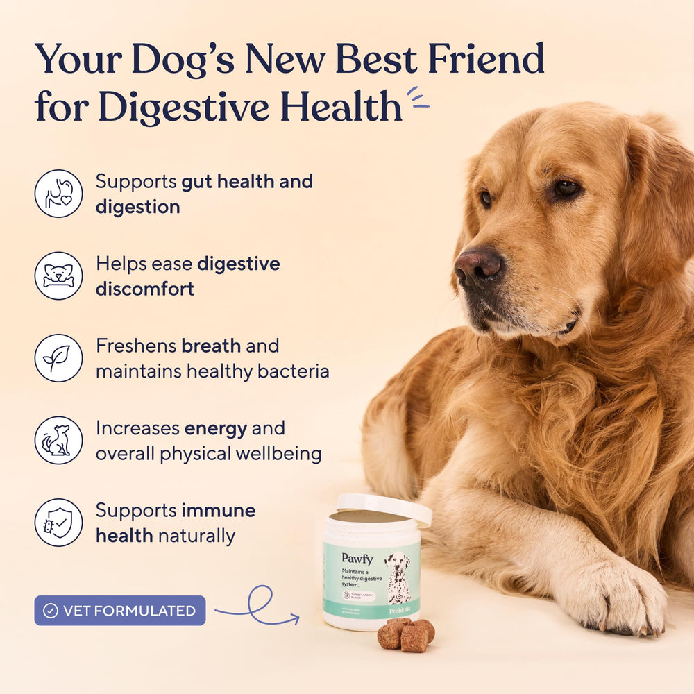 Pawfy Probiotiques pour chiens – gommes bacon, faciles à donner pour une routine saine.