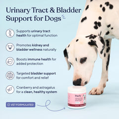 Pawfy, complément chien canneberge et D-mannose, soutien quotidien de l'appareil urinaire.
